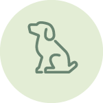 Traffic Dog Leash pet dog icon