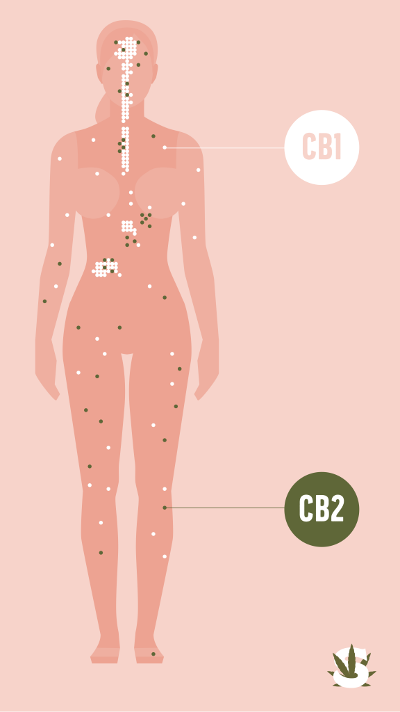 cbd for depression