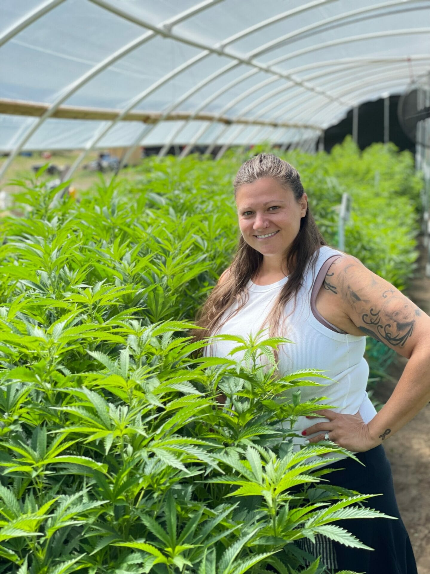 Visiting Partner farm Wildflower hemp Co.