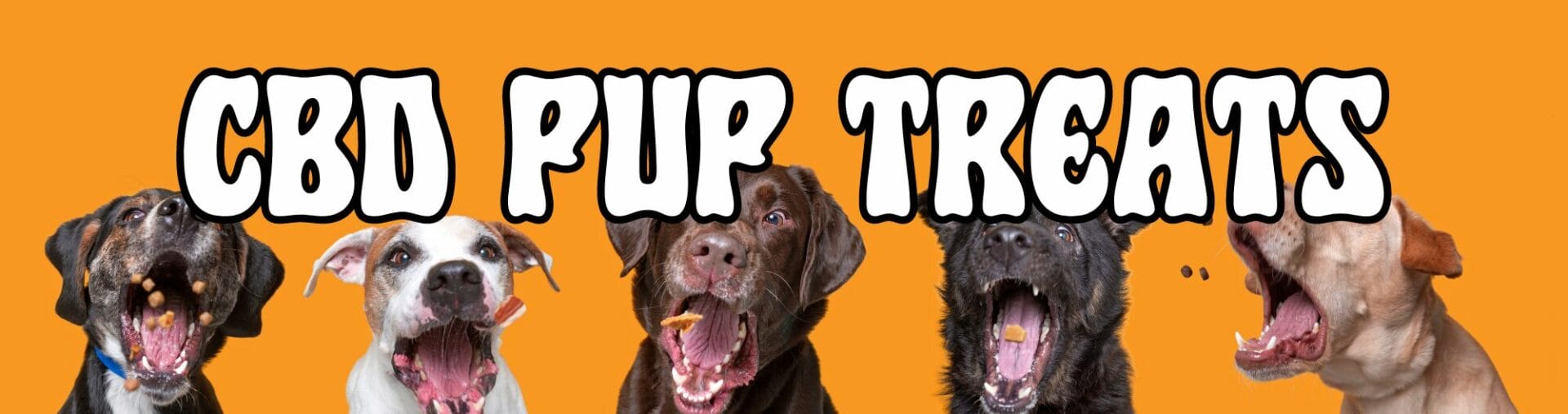 Treat Your Furry Friend to Wellness with The Georgia Hemp Company™ 4mg CBD Pup Treats Pumpkin!