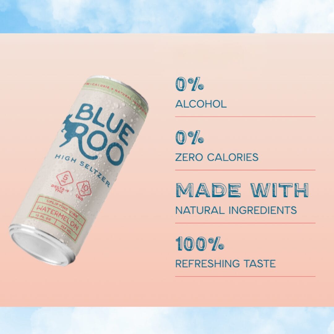 Discover BlueRoo High Seltzers IN-STORE ONLY at The Georgia Hemp Company™: Your New Social Sip