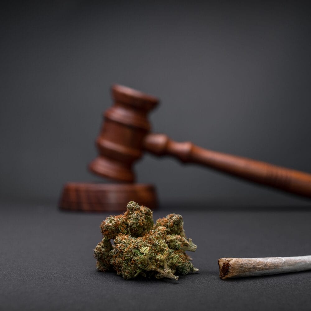 The Georgia Hemp Company™: A Closer Look at Georgia’s Evolving Hemp Laws