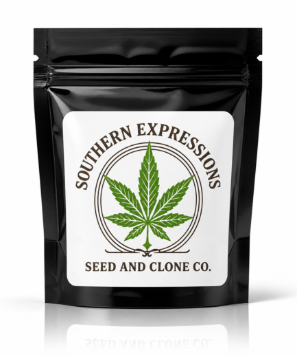 Southern Expressions Seed Packs