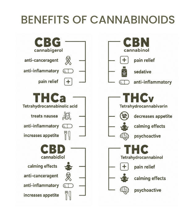 benefits of CANNABINOIDS